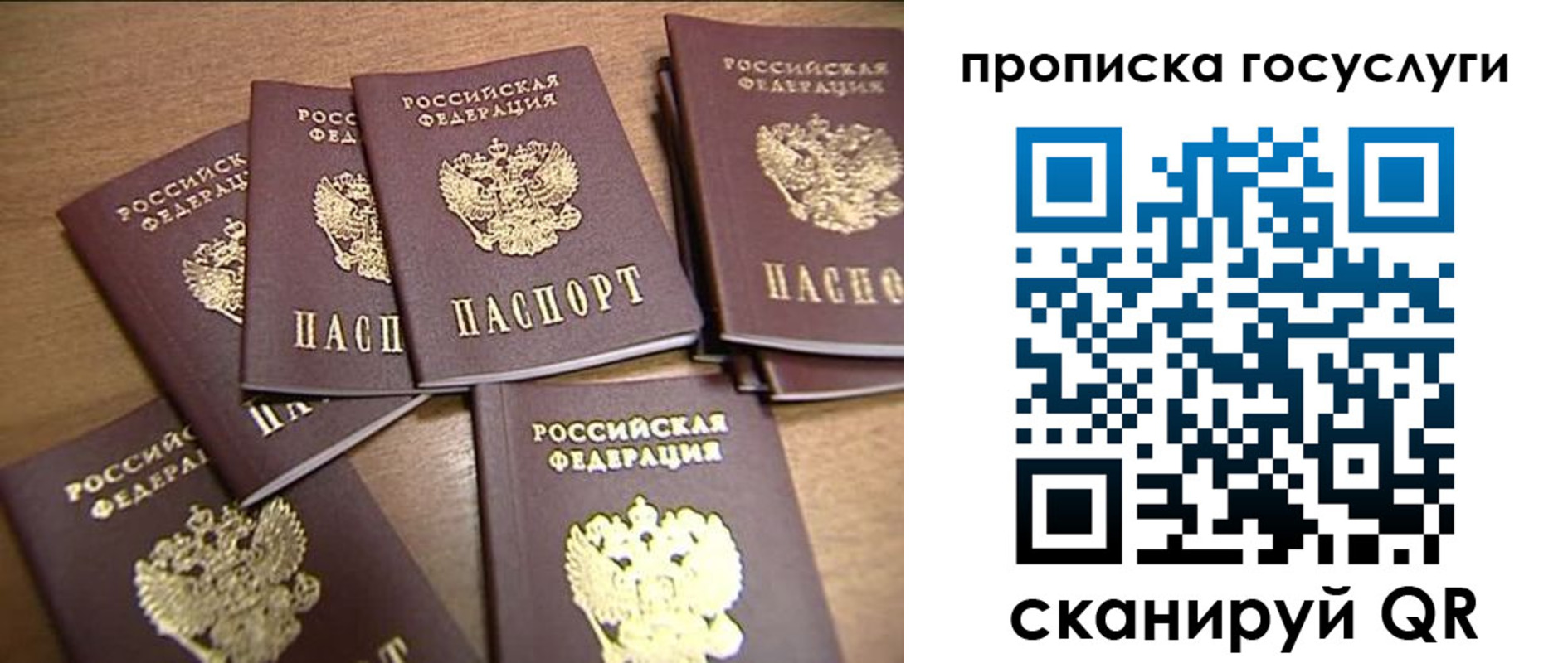 прописка ребенка в Александровске-Сахалинском